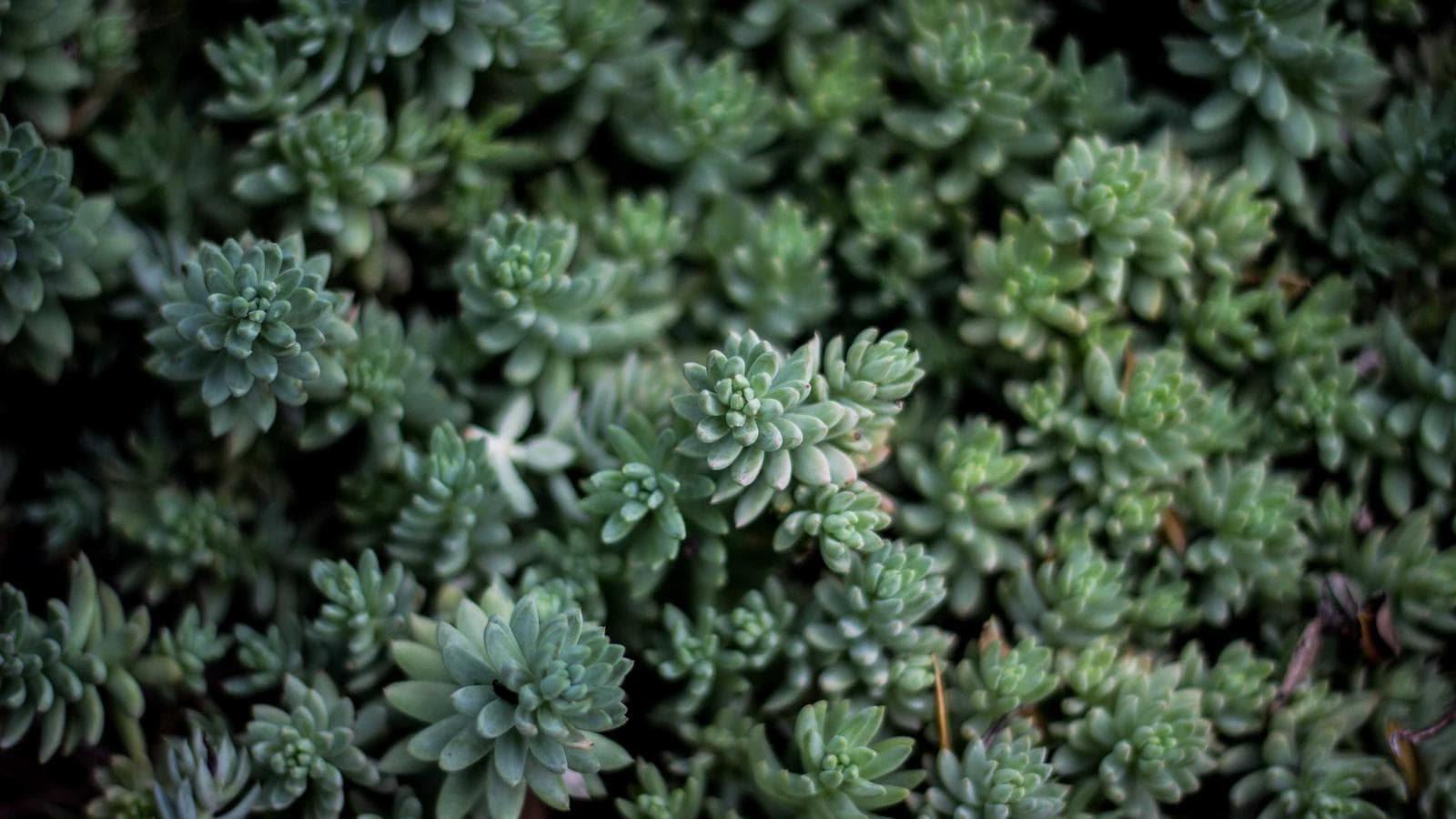 Warm and attentive medical consultation